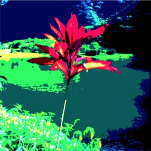 A bright red A.P. ASTRA - Cross flower with elongated petals stands in the foreground, set against a vividly colored, stylized background of green grass, blue water, and distant hills under a deep blue sky.