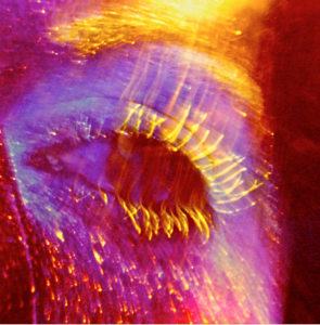 JOHN MOORE, The moment. global galleries