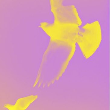 A.P. ASTRA – Untiled (Freedom & Peace)