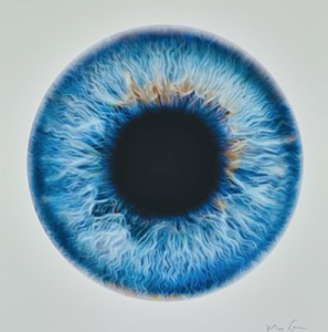 MARC QUINN –  Mesosphere
