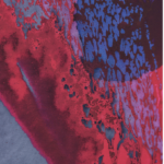 Zieleke, Corinna - colour print on aludibond, edition, #01-0026